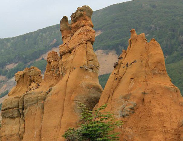 2reserva-magallanes-605x465
